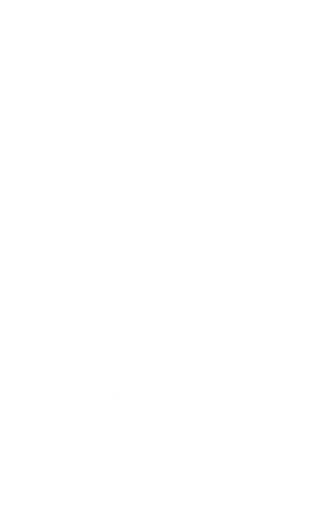 Bright White Spotlight